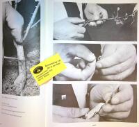 The Dictionary of Roses in colour