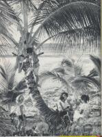 MOKIHANA BOR P&Aring; HAWAII