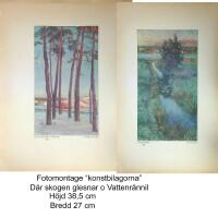 JULST&Auml;MNING 1952; PRINS EUGENE WALDEMARSUDDE