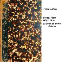 ESAIAS TEGN&Eacute;R EN LITTERATUR-PSYKOLOGISK STUDIE