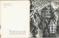 Marko bor i Jugoslavien