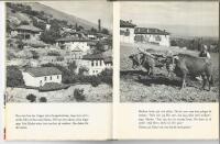 Marko bor i Jugoslavien