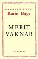 MERIT VAKNAR