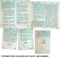 Gudelige taler over S&oslash;n- og Festdags Evangelier udgivne af et Theologist Selskab