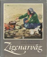 ZIGENARV&Auml;G
