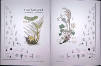 Flora Nordica 1