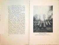 N&auml;fveqvarns bruk under 300 &aring;r 1623 &ndash;1923 