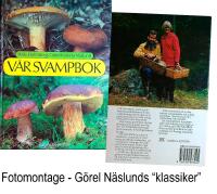 V&aring;r svampbok