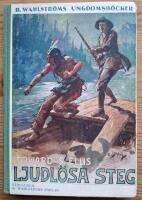 Ljudl&ouml;sa steg. Ber&auml;ttelse fr&aring;n gr&auml;nsen.