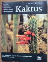 Kaktus.