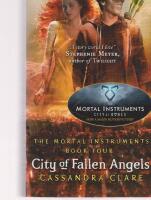 City of Fallen Angels