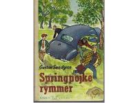 Springpojke rymmer