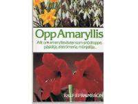 Opp Amaryllis allt om amaryllisv&auml;xter som sn&ouml;droppe,p&aring;sklilja,alstr&ouml;meria,m&ouml;njelilja...