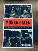 Den m&ouml;rka dalen : Panorama &ouml;ver 1930-talet