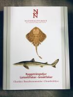 Ryggstr&auml;ngsdjur : lansettfiskar - broskfiskar. Chordata : branchiostomatidae - chondrichthyes