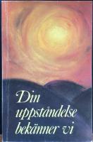 Din uppst&aring;ndelse bek&auml;nner vi : f&ouml;redrag och samtalsinledningar fr&aring;n konferens i B&aring;stad i maj 1987