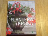 Plantera i kruka