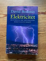 Elektricitet : Historien om universums m&auml;ktigaste kraft