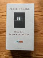 Mitt &aring;r i Ingenmansbukten : en saga fr&aring;n de nya tiderna
