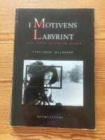 I motivens labyrint och andra ess&auml;er om filmer