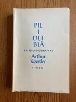 Pil i det bl&aring;