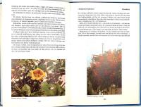 BLOMMOR I SOLIGA L&Auml;NDER 