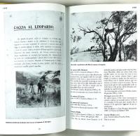 Cinema muto Italiano &ndash; I FILM "DAL VERO" 1895&ndash;1914