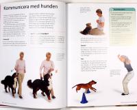HUNDLEKAR &ndash; Stimulerande tr&auml;ning f&ouml;r smarta hundar
