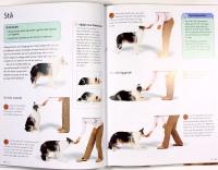 HUNDLEKAR &ndash; Stimulerande tr&auml;ning f&ouml;r smarta hundar