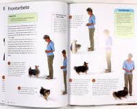 HUNDLEKAR &ndash; Stimulerande tr&auml;ning f&ouml;r smarta hundar