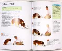 HUNDLEKAR &ndash; Stimulerande tr&auml;ning f&ouml;r smarta hundar