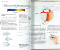 M&Auml;NNISKOKROPPEN &ndash;  Fysiologi och anatomi