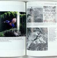 The FLIGHT of the EMU &ndash; A Hundred Years of Australian Ornithology 1901&ndash;2001