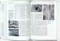 The FLIGHT of the EMU &ndash; A Hundred Years of Australian Ornithology 1901&ndash;2001