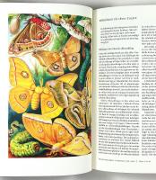 DR&Ouml;MMEN OM SVENSKT SILKE