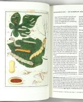 DR&Ouml;MMEN OM SVENSKT SILKE