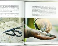 GLIMTAR FR&Aring;N G&Aring;NGNA TIDER