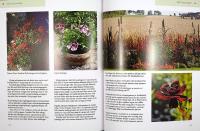 SOMMARBLOMMOR &ndash; f&ouml;rnya i rabatter och krukor