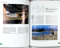 FLUEFISKE &ndash;&nbsp;fra A til X