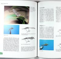 FLUEFISKE &ndash;&nbsp;fra A til X