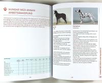 V&Auml;LJ R&Auml;TT HUND &ndash; En handbok f&ouml;r alla hund&auml;gare