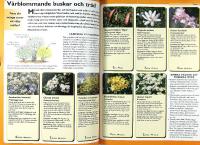 STORA TR&Auml;DG&Aring;RDSBOKEN &ndash; Praktiska r&aring;d