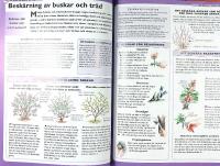 STORA TR&Auml;DG&Aring;RDSBOKEN &ndash; Praktiska r&aring;d