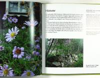 V&Aring;RA &Auml;LSKADE TORPV&Auml;XTER &ndash; Och hur vi odlar dem