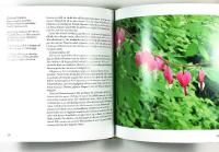 V&Aring;RA &Auml;LSKADE TORPV&Auml;XTER &ndash; Och hur vi odlar dem