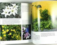 TR&Auml;DG&Aring;RDSDESIGN f&ouml;r en vackrare hemtr&auml;dg&aring;rd