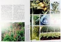 TR&Auml;DG&Aring;RDSDESIGN F&Ouml;R 2000-TALET