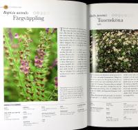 PRISMAS STORA &Ouml;RTABOK &ndash; Hur man odlar och anv&auml;nder mer &auml;n 200 krydd&ouml;rter och l&auml;kev&auml;xter