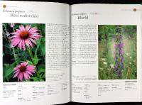 PRISMAS STORA &Ouml;RTABOK &ndash; Hur man odlar och anv&auml;nder mer &auml;n 200 krydd&ouml;rter och l&auml;kev&auml;xter