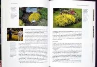 Gardening with HARDY HEATHERS